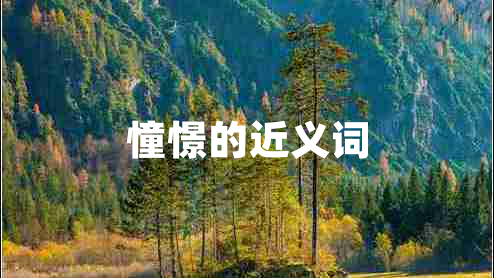 憧憬的近義詞