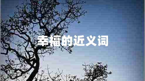 幸福的近義詞