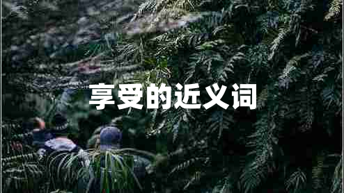 享受的近義詞