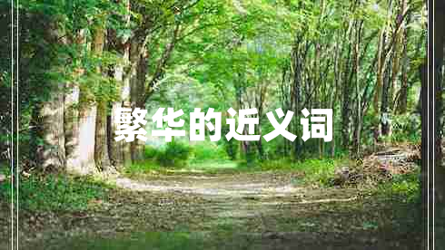 繁華的近義詞