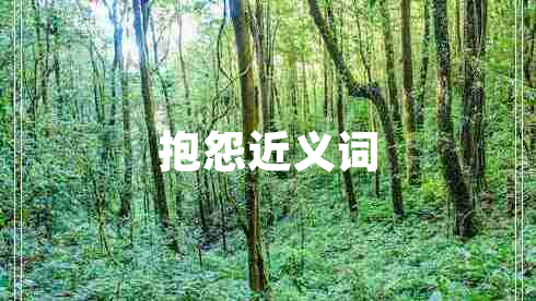 抱怨近義詞