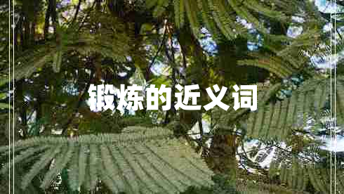 鍛煉的近義詞