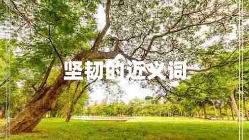 堅(jiān)韌的近義詞