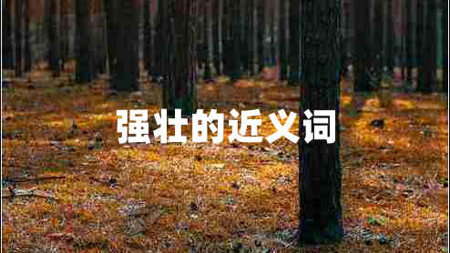 強壯的近義詞