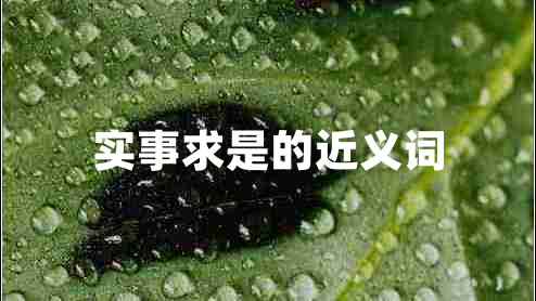 實(shí)事求是的近義詞