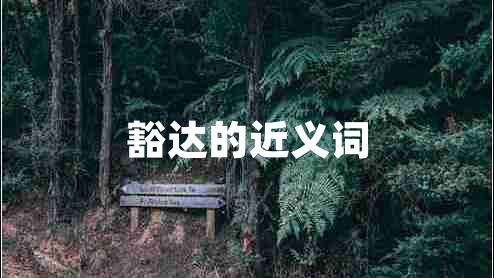 豁達的近義詞