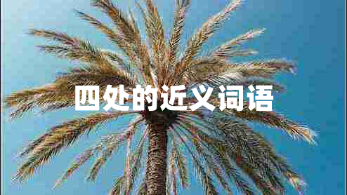 四處的近義詞語(yǔ)