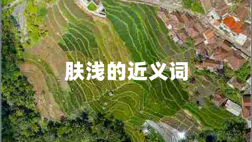 膚淺的近義詞