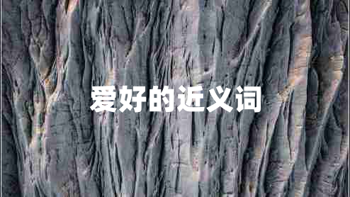 愛(ài)好的近義詞