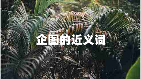 企圖的近義詞