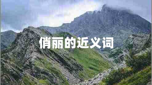 俏麗的近義詞