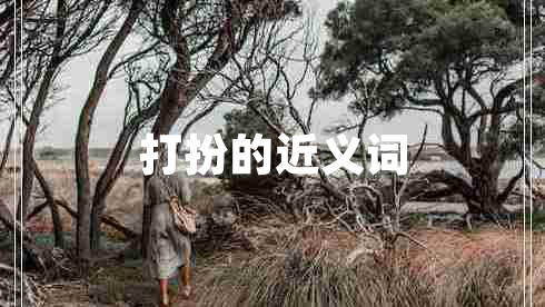 打扮的近義詞