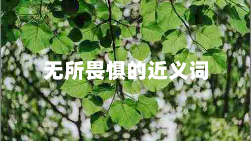 無(wú)所畏懼的近義詞