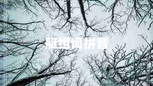 艇組詞拼音