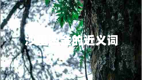 沙里淘金的近義詞