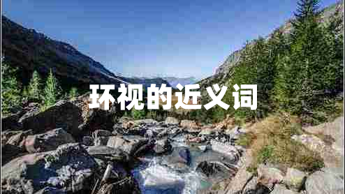 環(huán)視的近義詞