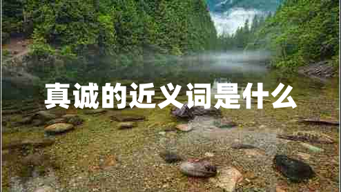 真誠的近義詞是什么