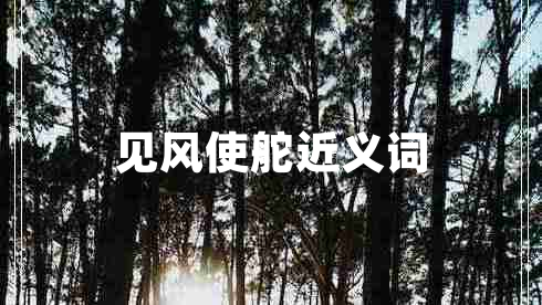 見風使舵近義詞