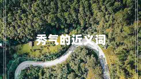 秀氣的近義詞
