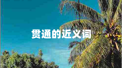 貫通的近義詞