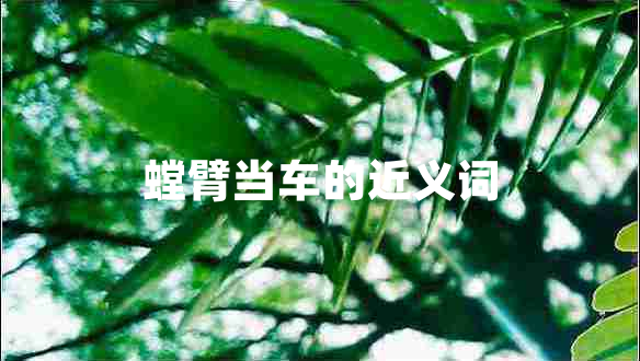 螳臂當車的近義詞