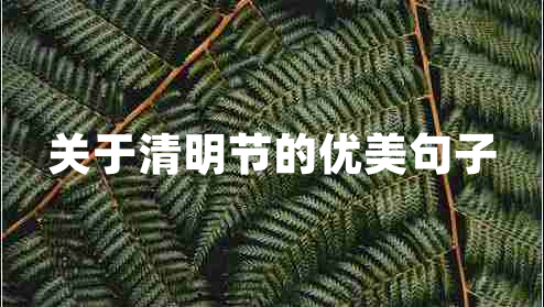 關于清明節(jié)的優(yōu)美句子