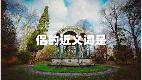 侶的近義詞是