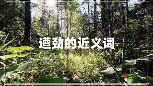 遒勁的近義詞