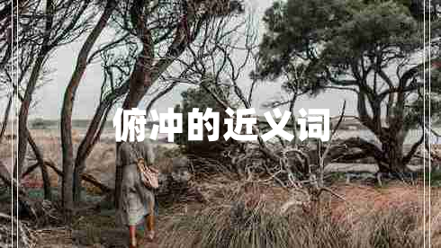 俯沖的近義詞