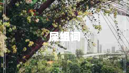 屎組詞