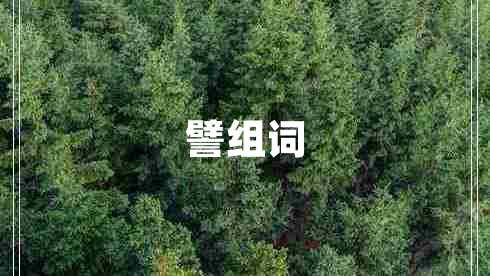 譬組詞