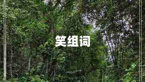 笑組詞