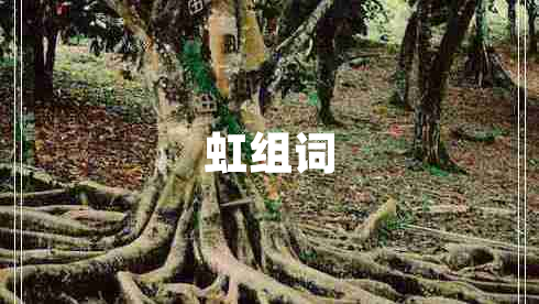 虹組詞