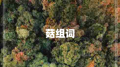 菇組詞