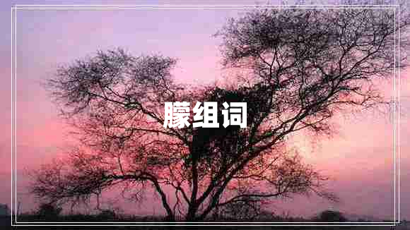 朦組詞