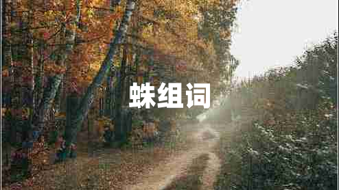 蛛組詞