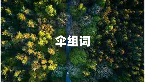 傘組詞
