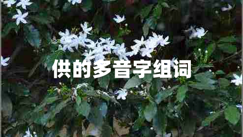 供的多音字組詞