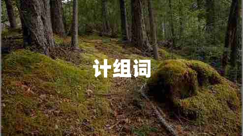 計(jì)組詞
