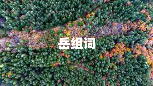 岳組詞
