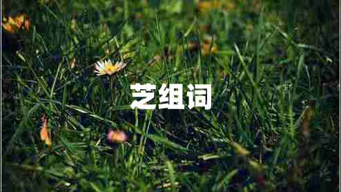 芝組詞