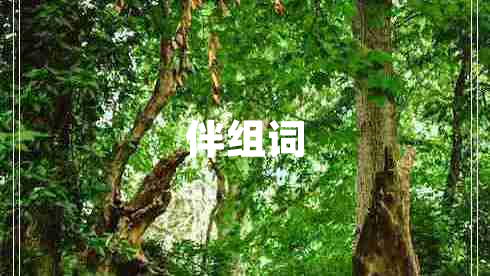 伴組詞