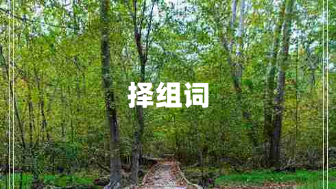 擇組詞