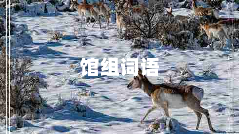 館組詞語