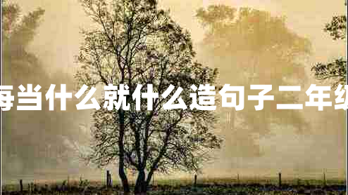 每當什么就什么造句子二年級