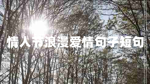 情人節(jié)浪漫愛(ài)情句子短句