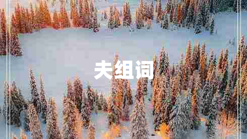 夫組詞