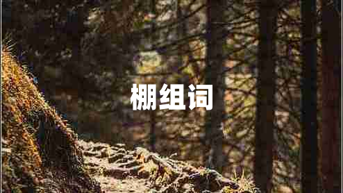 棚組詞