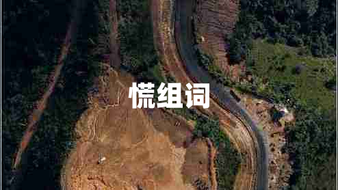 慌組詞