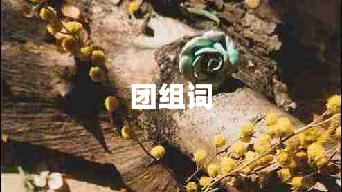 團(tuán)組詞